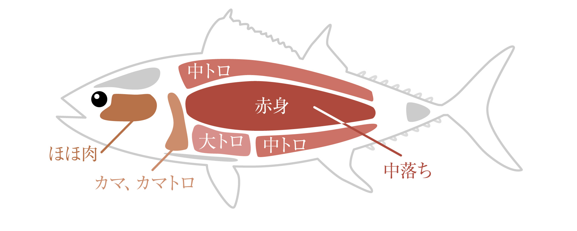 【一人の贅沢】希少部位のカマトロをいただく | あの日の手帳